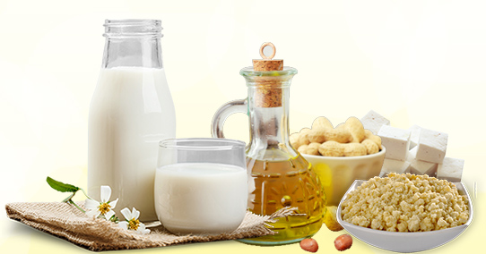organic milk suppliers in chennai