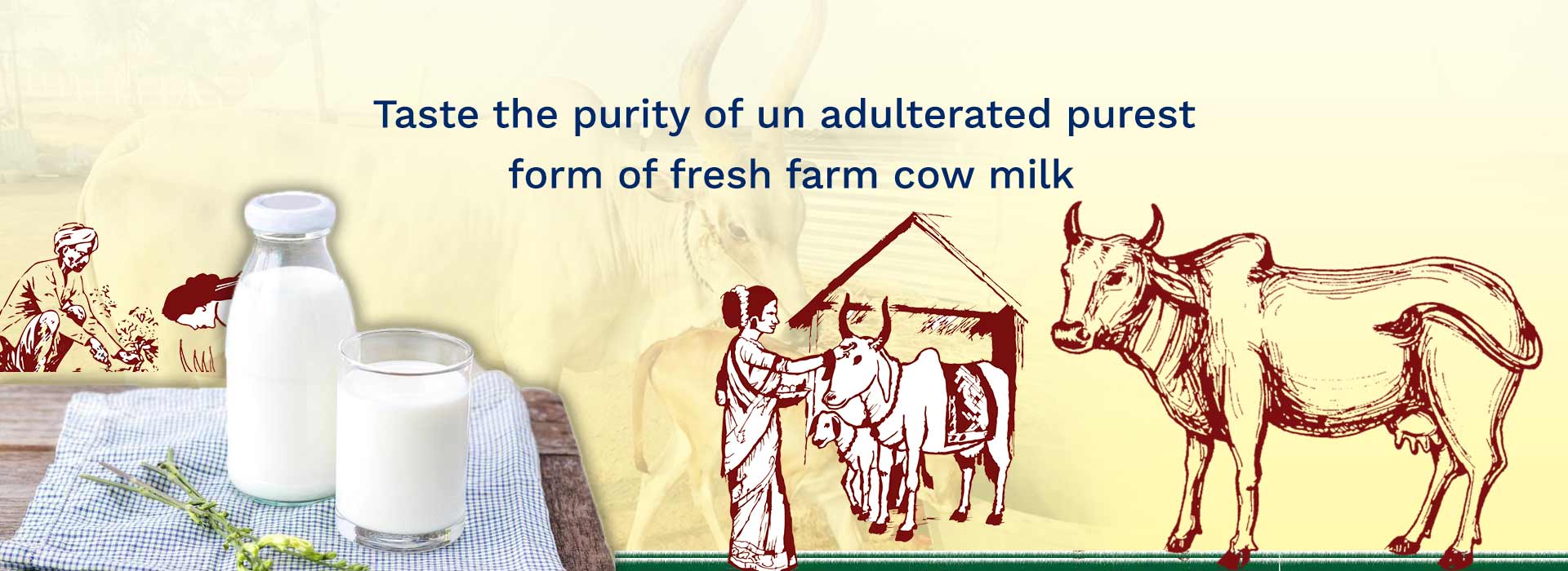 Fresh cow milk suppliers