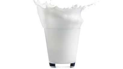 raw milk suppliers in chennai