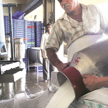 bottle fresh milk in chennai