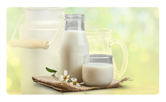 organic milk suppliers in chennai